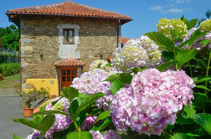 La Asturxana ξενώνας Malleza Εξωτερικό φωτογραφία